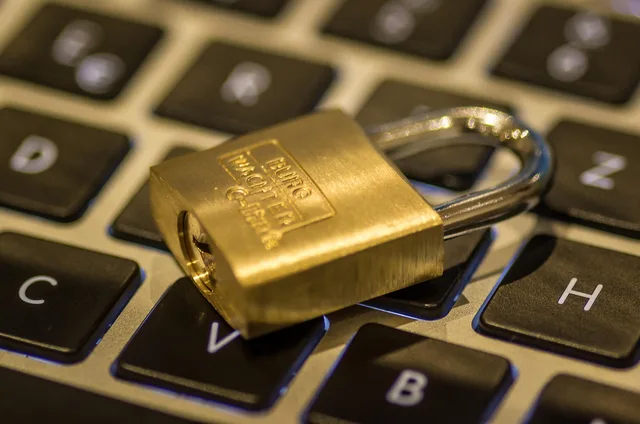 computer, security, hacker, cyber, privacy policy, data, digital, internet, password, code, protection, to back up, information, encryption, online, cyberspace, lock, access, network, hacker, cyber, privacy policy, privacy policy, password, encryption, encryption, encryption, encryption, encryption. How buyers can check agency data protection
